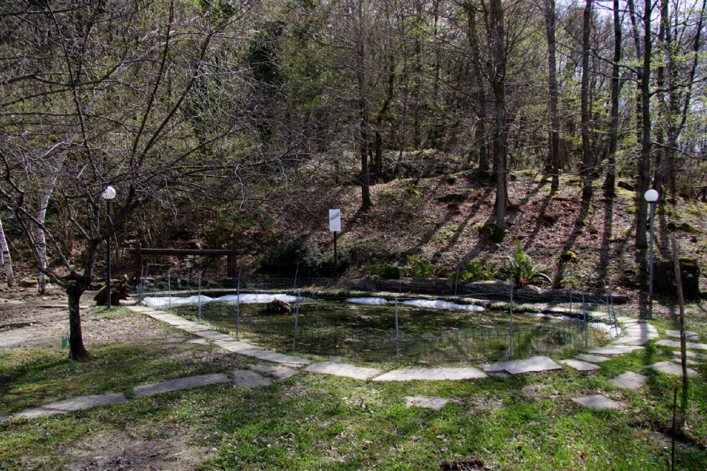 Lo stagno didattico di Valbonella - Bagno di Romagna (FC)